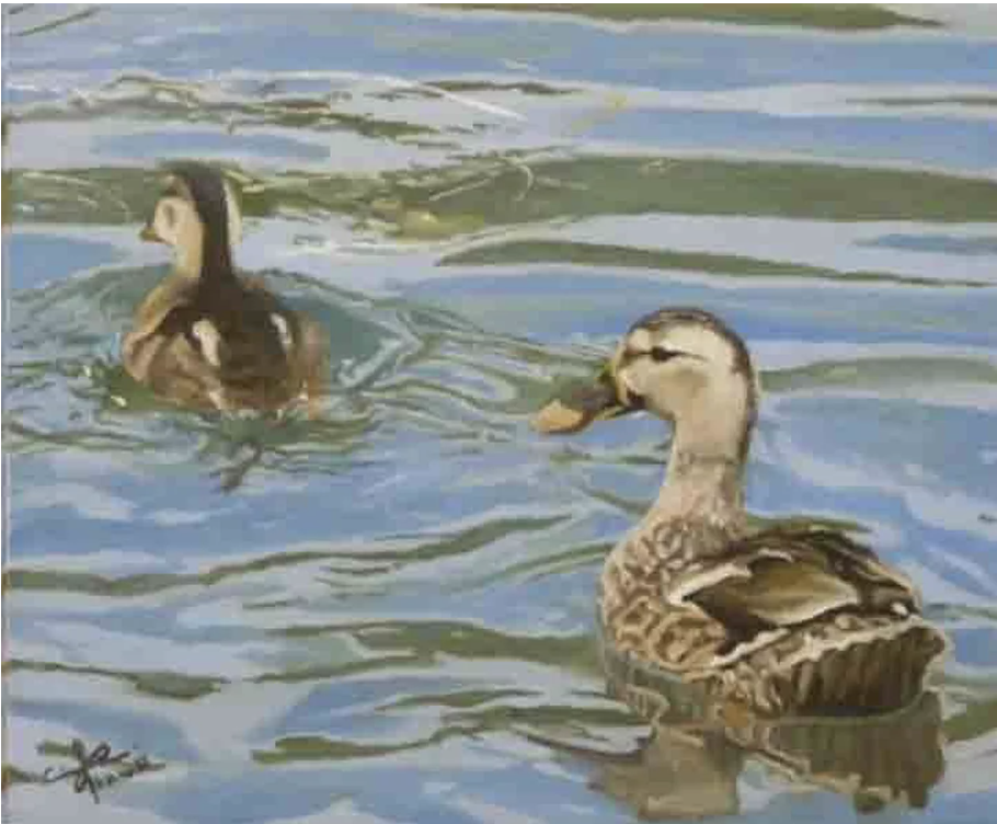 LES CANARDS